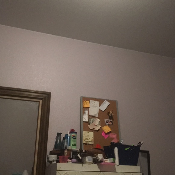 Meet your Posher, Maya - Picture 1 of 1